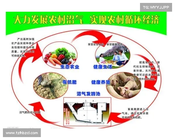 如何在蝴蝶平原实现生态保护与可持续发展的有效路径探索 如何在蝴蝶平原实现生态保护与可持续发展的有效路径探索