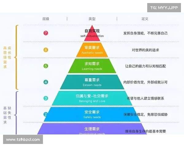从语言习惯到性格映射纳英戈兰拒用请字背后的文化与心理解析